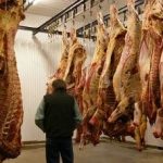 Fillon: scrap halal and kosher slaughter