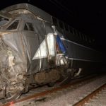 Nibbling rats blamed for French rail crash