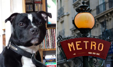 Paris: ‘Miracle’ Metro dog returned to grateful owner