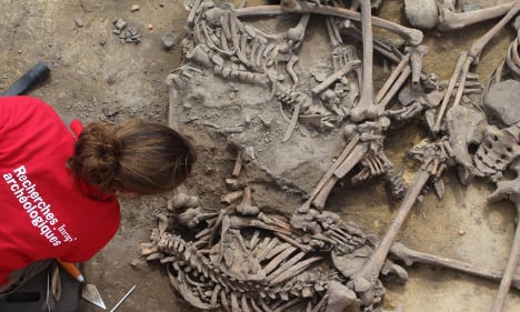 France digs up bones from 6,000-year-old ‘massacre’