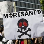 Bayer-Monsanto deal 'danger for our food': French chefs