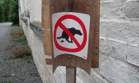 Has a French mayor found the solution to the problem of dog poo?
