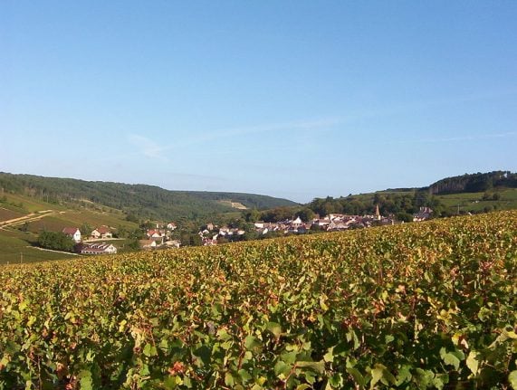American billionaire ‘buys historic Burgundy vineyard’