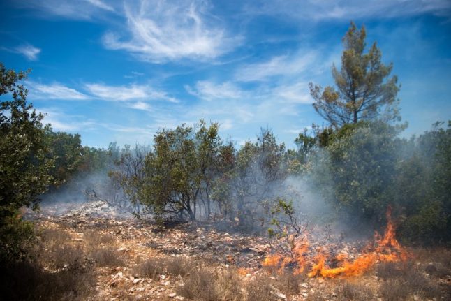Wildfires are raging in the Mediterranean. What can we learn?