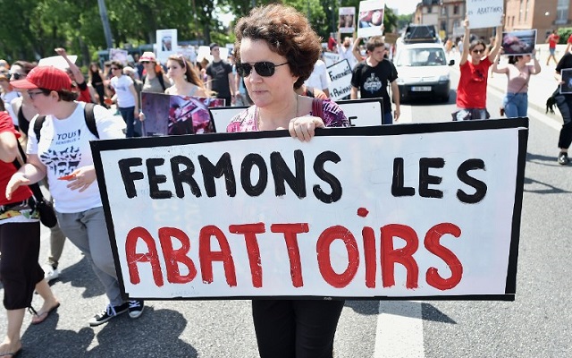 French farmers are crowd-funding for a 'humane' abattoir