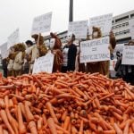 Why are carrots the protest weapon of choice for angry French tobacconists?