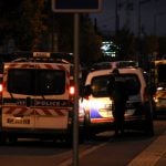 Three Chinese students hurt in car attack near Toulouse
