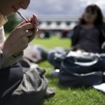 Paris to roll out smoking ban in public parks