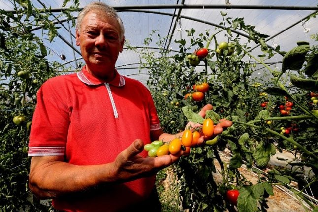 French tomato grower with cancer takes on Monsanto over weedkiller