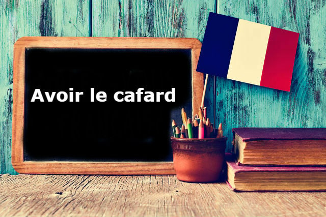 French Expression of the Day: Avoir le cafard - The Local