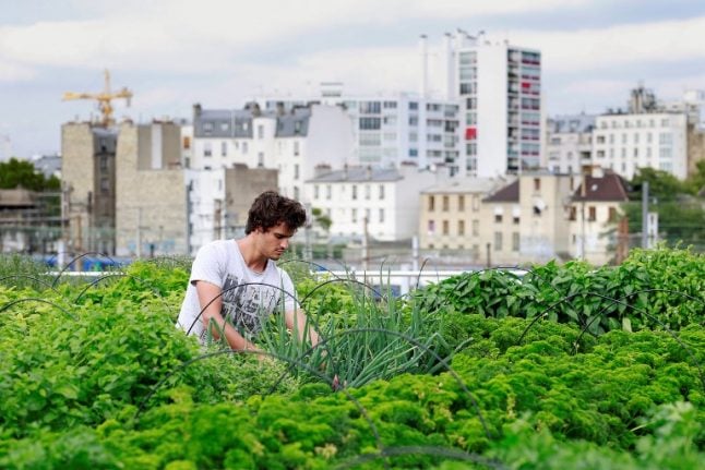 In France and beyond, the race is on to make urban agriculture viable