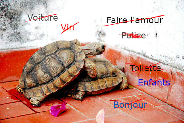 French slang: The everyday words they don’t teach you at  school