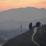 Italy's Prosecco hills added to Unesco's World Heritage list