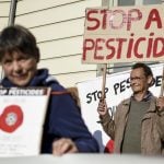 Five French cities ban synthetic pesticides as anti-chemical movement grows