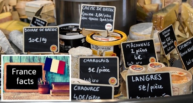 France Facts: There are eight cheese families in France