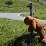 Rival demos in southwest France over killing of bear
