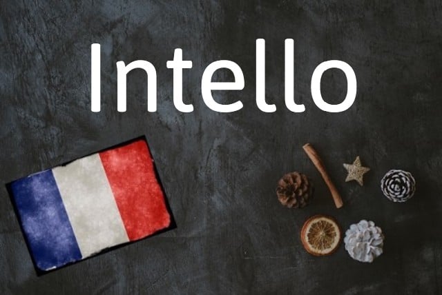 French word of the day: Intello