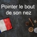 French phrase of the day: Pointer le bout de son nez
