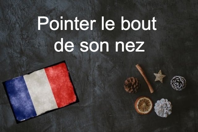 French phrase of the day: Pointer le bout de son nez