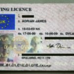 EXPLAINED: How to swap your UK driving licence for a French one under the new system