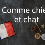French expression of the Day: Comme chien et chat