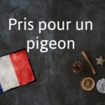 French expression of the Day: Pris pour un pigeon