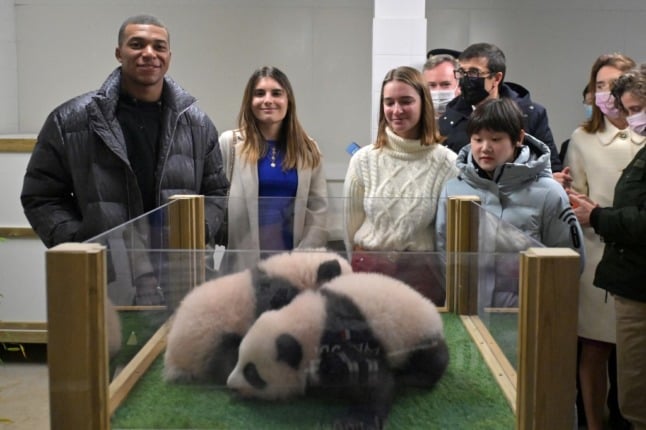 French zoo’s baby pandas get football star godfather: Kylian Mbappé