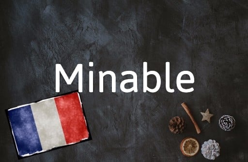 French Word of the Day: Minable   