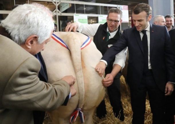 Paris Agriculture show returns for 2022 event