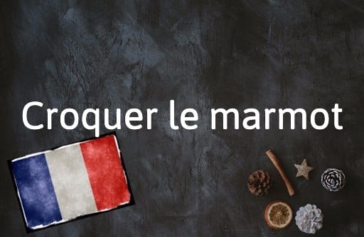 French Word of the Day: Croquer le marmot