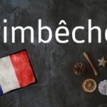 French word of the Day: Pimbêche